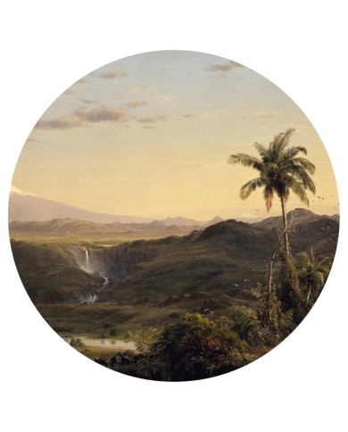 WallArt Papier peint cercle The Americas 142,5 cm