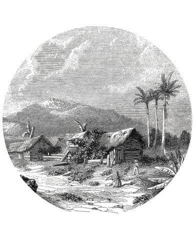 WallArt Papier peint cercle Landscape of Guadeloupe 190 cm