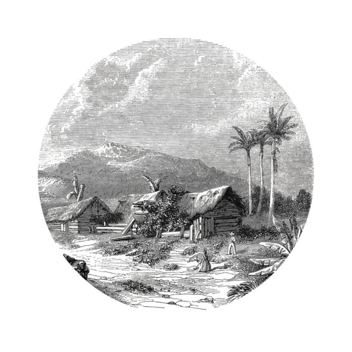 WallArt Papier peint cercle Landscape of Guadeloupe 190 cm