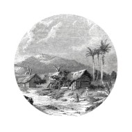 WallArt Papier peint cercle Landscape of Guadeloupe 190 cm