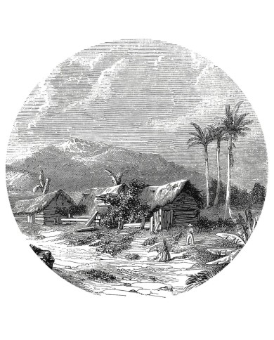 WallArt Papier peint cercle Landscape of Guadeloupe 142,5 cm