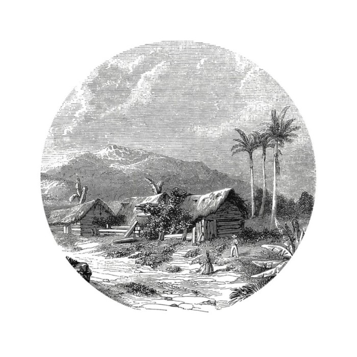 WallArt Papier peint cercle Landscape of Guadeloupe 142,5 cm