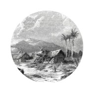 WallArt Papier peint cercle Landscape of Guadeloupe 142,5 cm