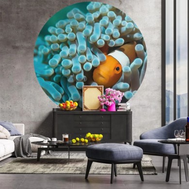 WallArt Papier peint cercle Nemo the Anemonefish 190 cm