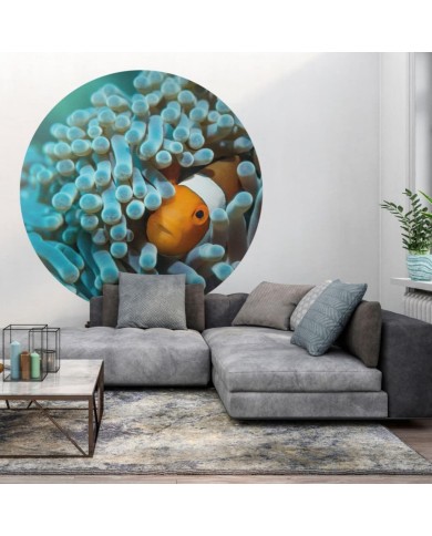 WallArt Papier peint cercle Nemo the Anemonefish 190 cm