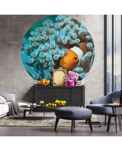 WallArt Papier peint cercle Nemo the Anemonefish 142,5 cm