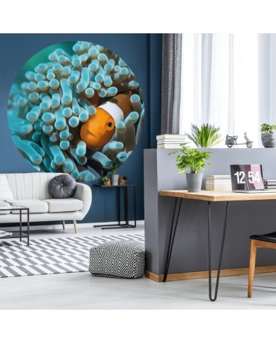 WallArt Papier peint cercle Nemo the Anemonefish 142,5 cm