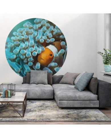 WallArt Papier peint cercle Nemo the Anemonefish 142,5 cm