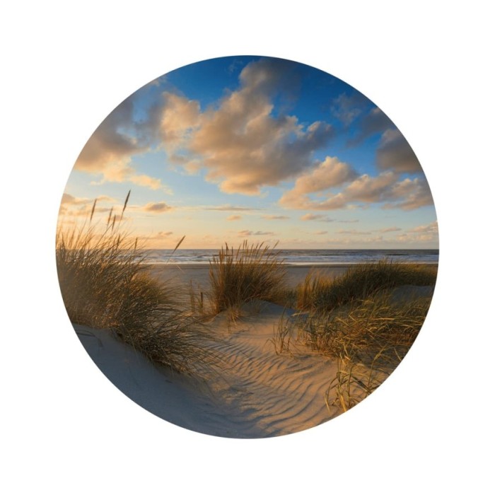 WallArt Papier peint cercle Beachlife 142,5 cm