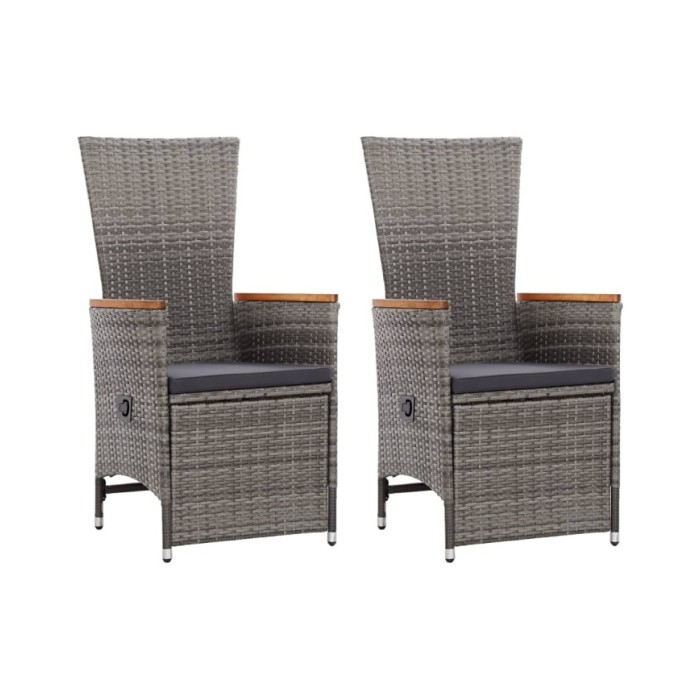 Chaise inclinable de jardin 2pc et coussins Résine tressée Gris