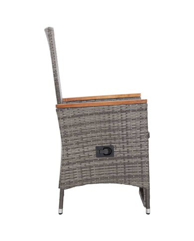 Chaise inclinable de jardin 2pc et coussins Résine tressée Gris