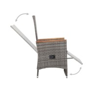 Chaise inclinable de jardin 2pc et coussins Résine tressée Gris