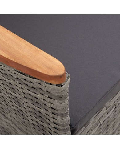 Chaise inclinable de jardin 2pc et coussins Résine tressée Gris
