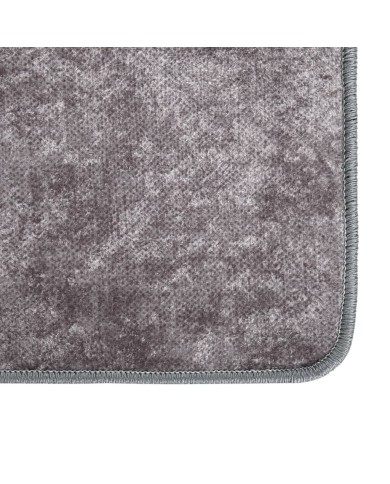 Tapis lavable antidérapant 190x300 cm Gris
