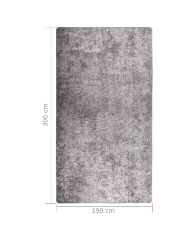 Tapis lavable antidérapant 190x300 cm Gris