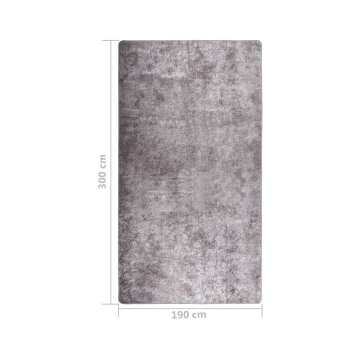 Tapis lavable antidérapant 190x300 cm Gris