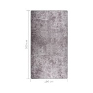 Tapis lavable antidérapant 190x300 cm Gris