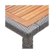 Table de jardin Gris 200x150x74 cm Résine tressée et acacia