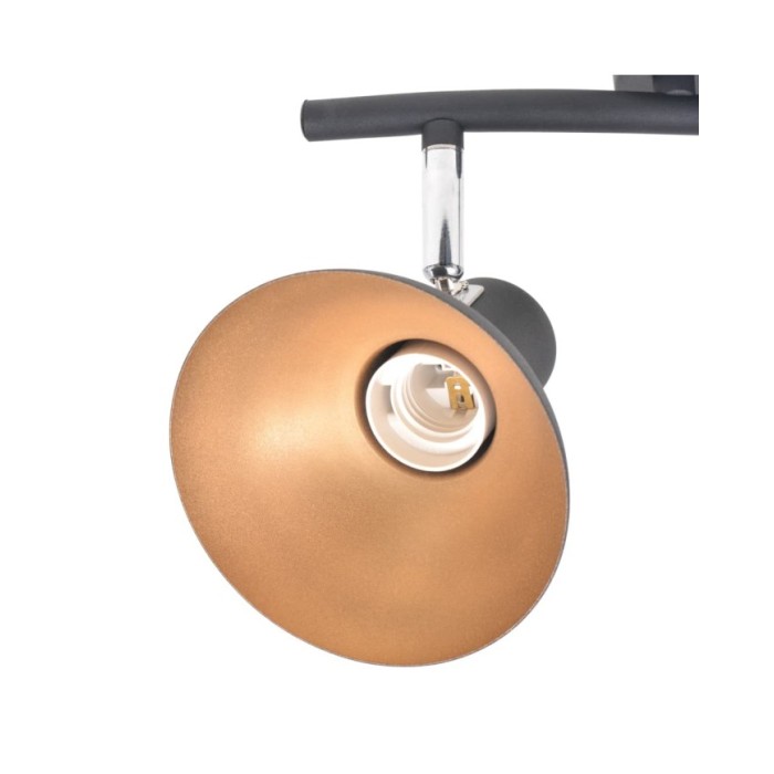 Plafonnier pour 2 ampoules E27 Noir et doré