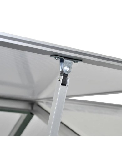 Serre renforcée en aluminium avec cadre de base 6,05 m² 