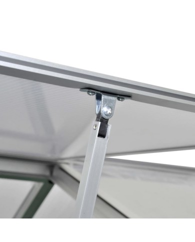 Serre renforcée en aluminium avec cadre de base 9,025 m² 