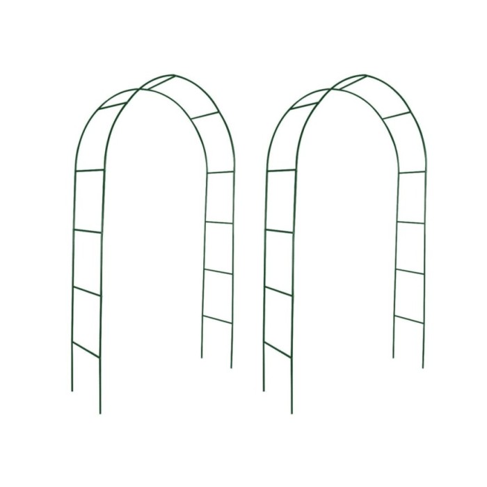 Arche de jardin 2 pcs pour plantes grimpantes 