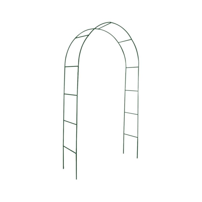 Arche de jardin 2 pcs pour plantes grimpantes 