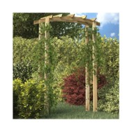 Voûte en treillis 105x35x210 cm Bois