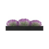 Lit surélevé de jardin Acier galvanisé 320x40x45 cm Anthracite