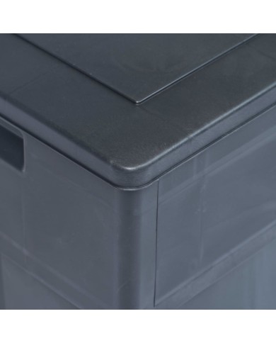 Boîte de rangement de jardin 320 L Noir