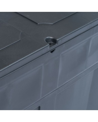 Boîte de rangement de jardin 320 L Noir