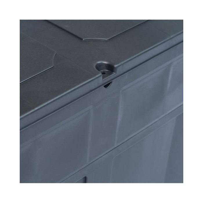 Boîte de rangement de jardin 320 L Noir