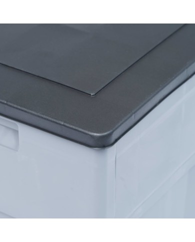 Boîte de rangement de jardin 320 L Gris Noir