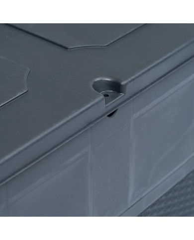 Boîte de rangement de jardin 320 L Anthracite 
