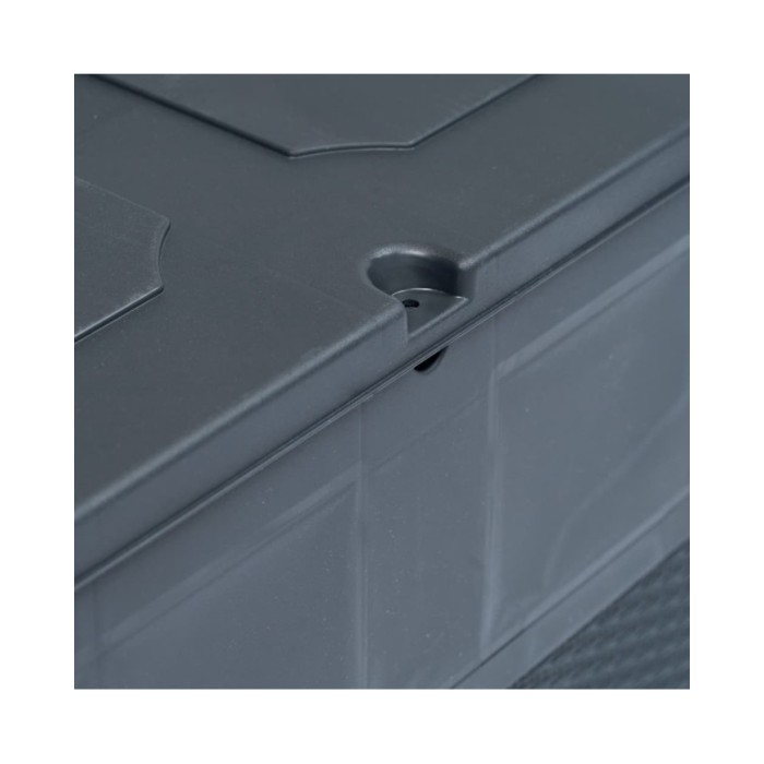 Boîte de rangement de jardin 320 L Anthracite 