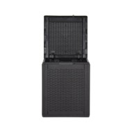 Boîte de rangement de jardin 90 L Noir PP Rotin