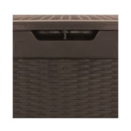 Boîte de stockage de jardin Marron 119x48x60 cm Polypropylène