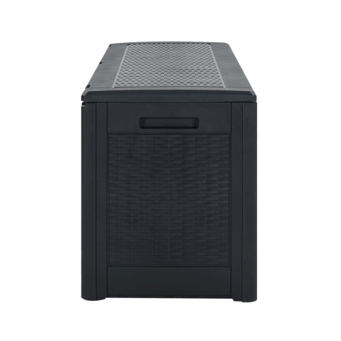 Boîte de stockage jardin Anthracite 119x48x60 cm Polypropylène