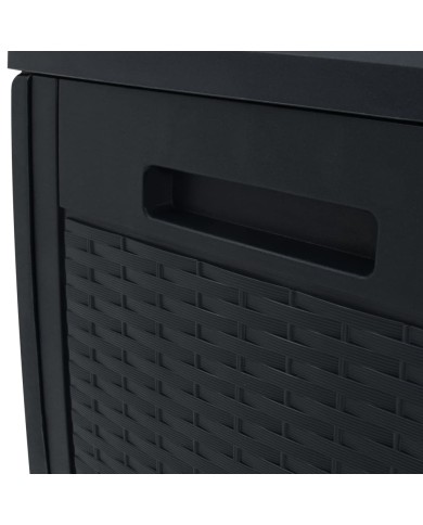 Boîte de stockage jardin Anthracite 119x48x60 cm Polypropylène