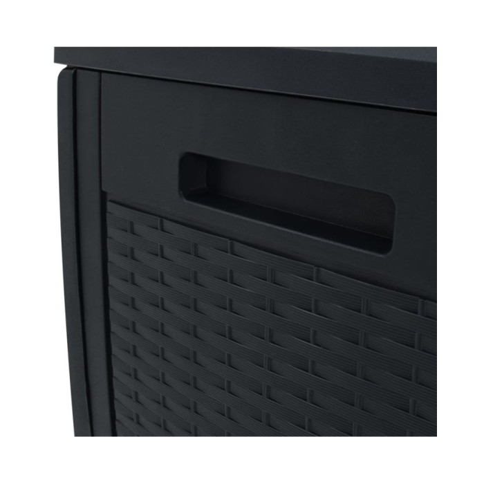 Boîte de stockage jardin Anthracite 119x48x60 cm Polypropylène
