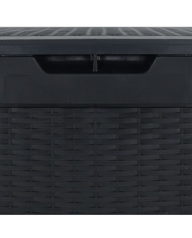 Boîte de stockage jardin Anthracite 119x48x60 cm Polypropylène