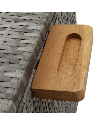 Boîte de rangement de jardin Gris clair 120x65x61 cm Rotin