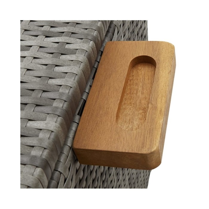 Boîte de rangement de jardin Gris clair 120x65x61 cm Rotin