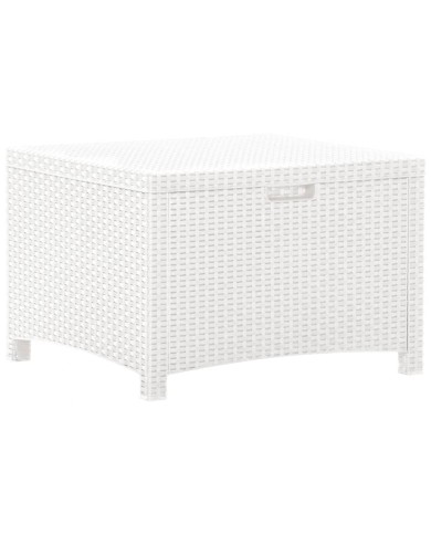 Boîte de rangement de jardin 60x54x41 cm Rotin PP Blanc