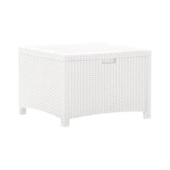 Boîte de rangement de jardin 60x54x41 cm Rotin PP Blanc