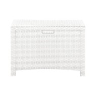 Boîte de rangement de jardin 60x54x41 cm Rotin PP Blanc