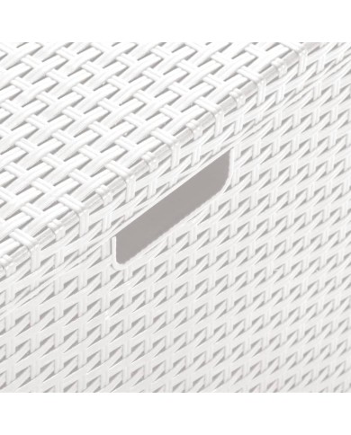 Boîte de rangement de jardin 60x54x41 cm Rotin PP Blanc