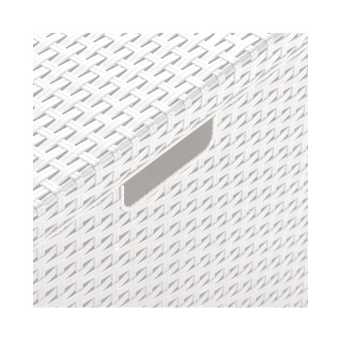 Boîte de rangement de jardin 60x54x41 cm Rotin PP Blanc