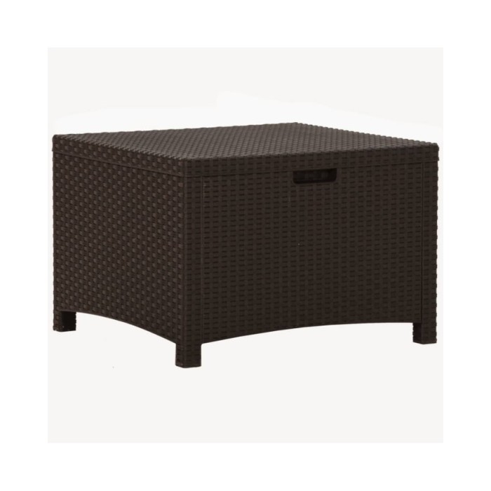 Boîte de rangement de jardin 60x54x41 cm Rotin PP Marron