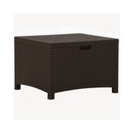 Boîte de rangement de jardin 60x54x41 cm Rotin PP Marron